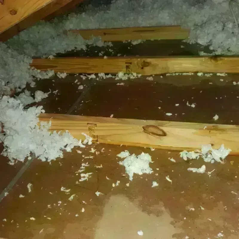 Attic Water Damage in Kenosha County, WI