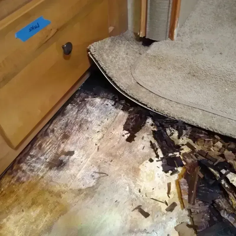 Wood Floor Water Damage in Kenosha County, WI